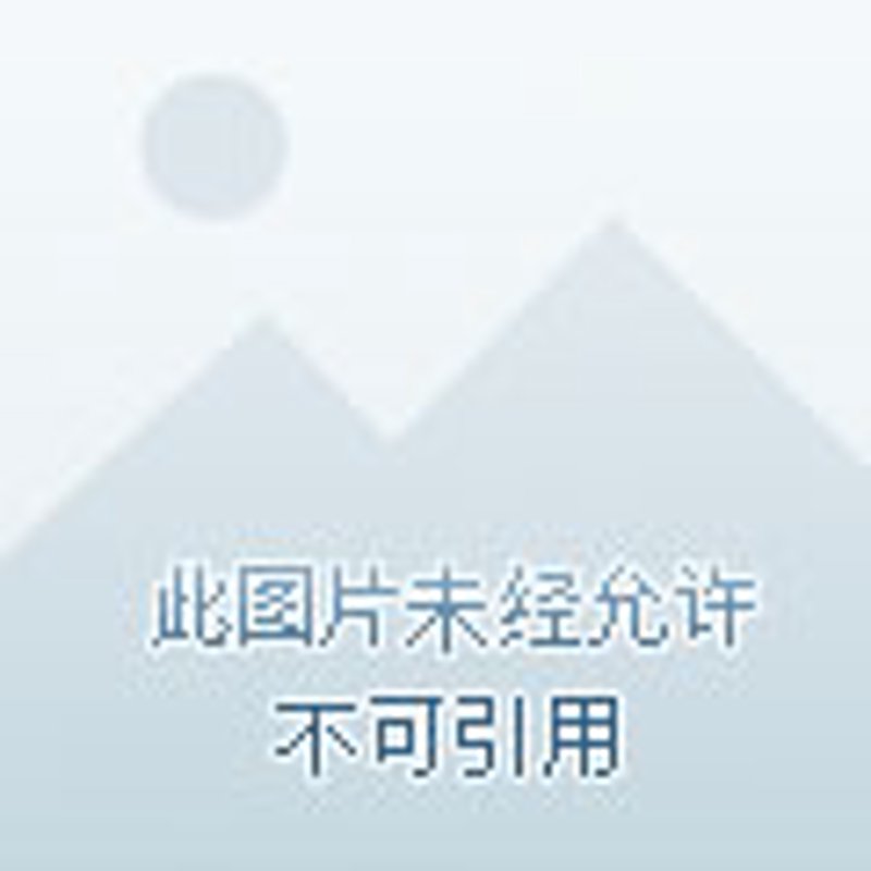 外贸网站制作:开启国际市场的金钥匙